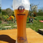 Erstmal ein Weizen!