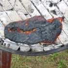 Grillen Grillen