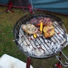 Grillen Grillen