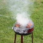 Grillen Grillen