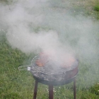 Grillen Grillen
