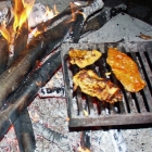 Grillen Grillen