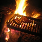 Grillen Grillen