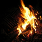 Grillen Grillen