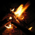 Grillen Grillen