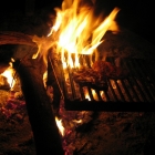 Grillen Grillen