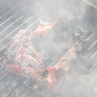 Grillen Grillen