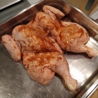 Eines der Georgia-Hähnchen (Flat/Flattened Chicken)
