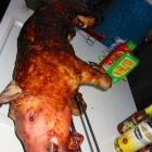 Spanferkel Special